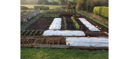 Как подготовить почву к весенней посадке огородных культур