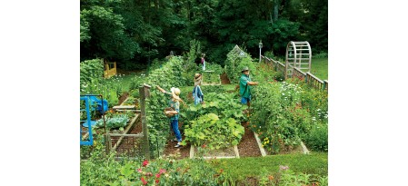 Как ухаживать за садом и огородом в июле