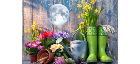 Лунный посевной календарь на март 2024 года