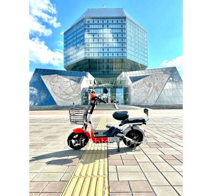 Электроскутер Citycoco E1 12Ah 500W (Быстросъем, Li-ion)